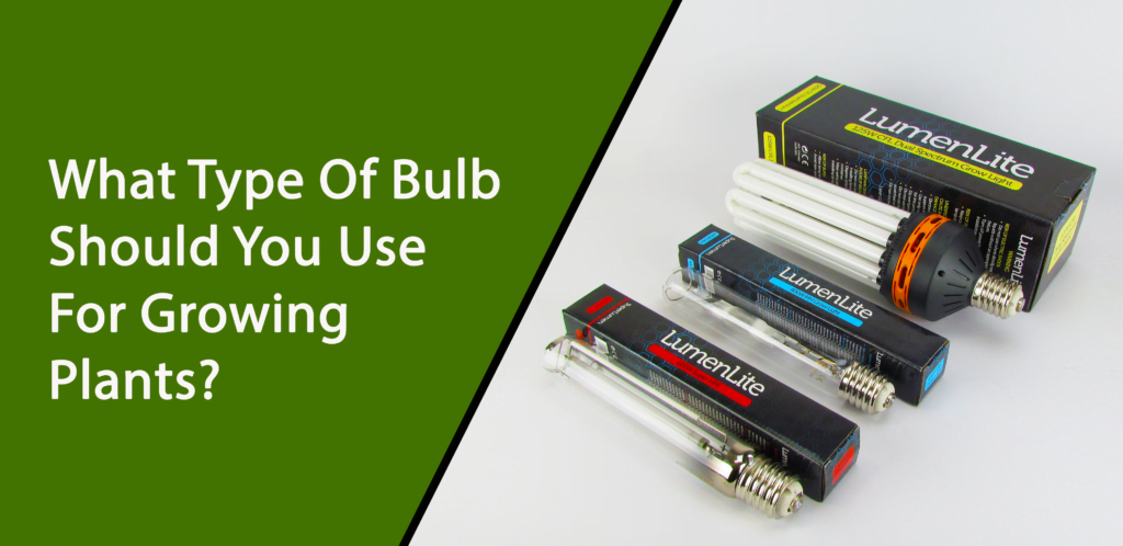 Bulb Types