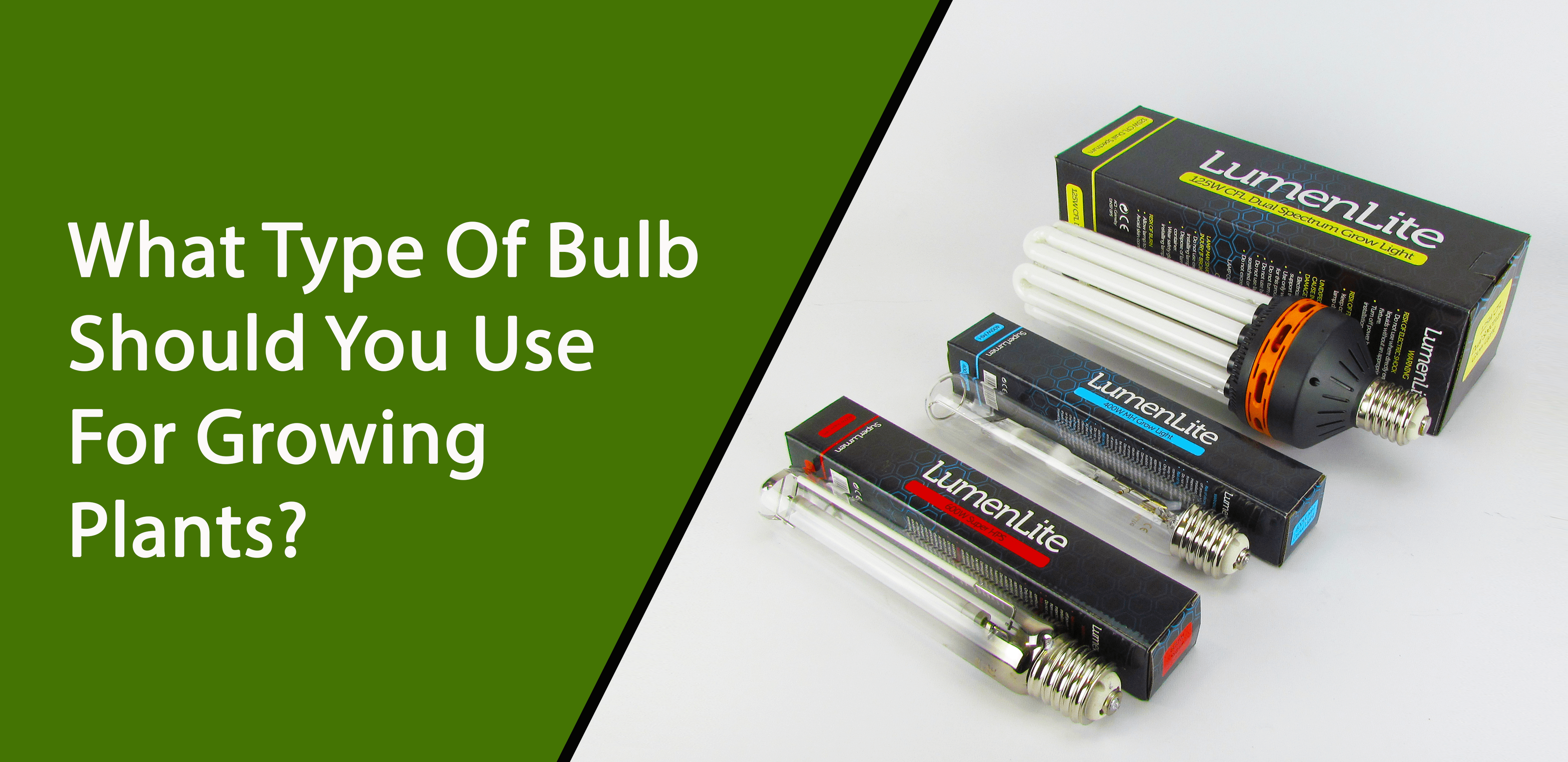 Bulb Types