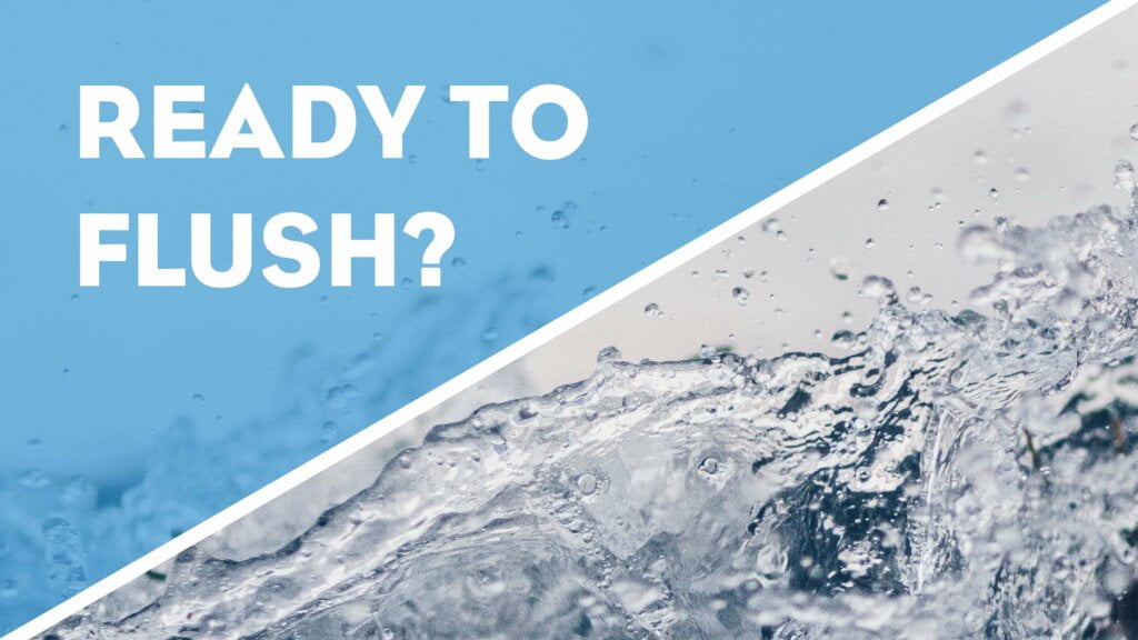 Ready to Flush
