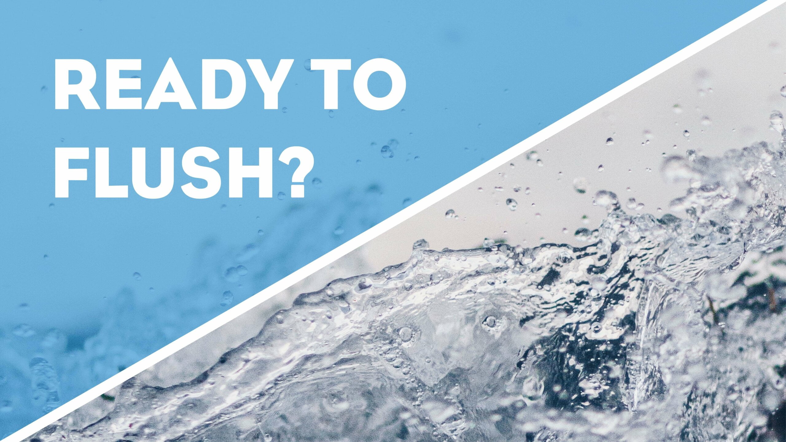 Ready to Flush