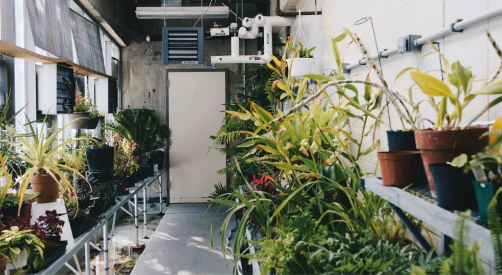 Controlling Odours