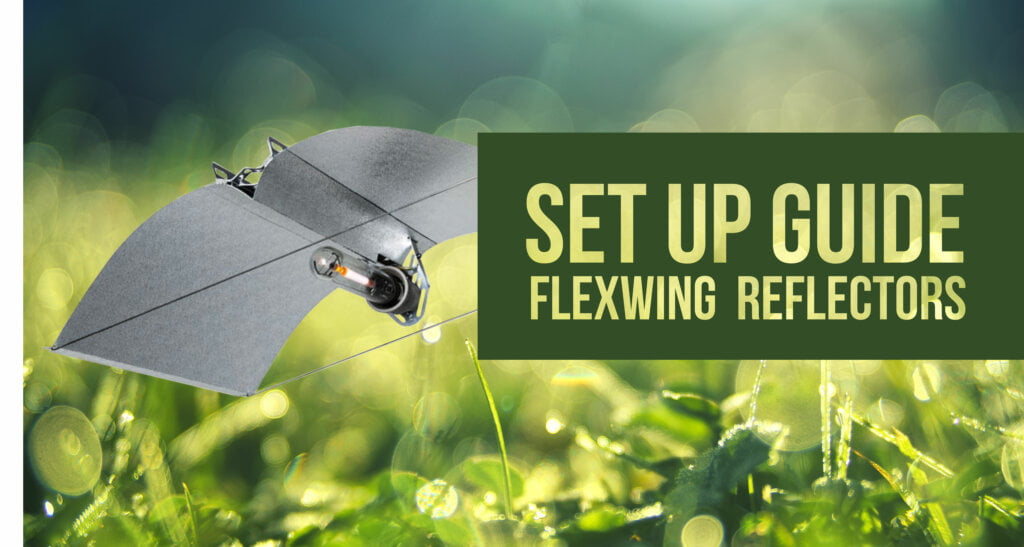 Flexwing