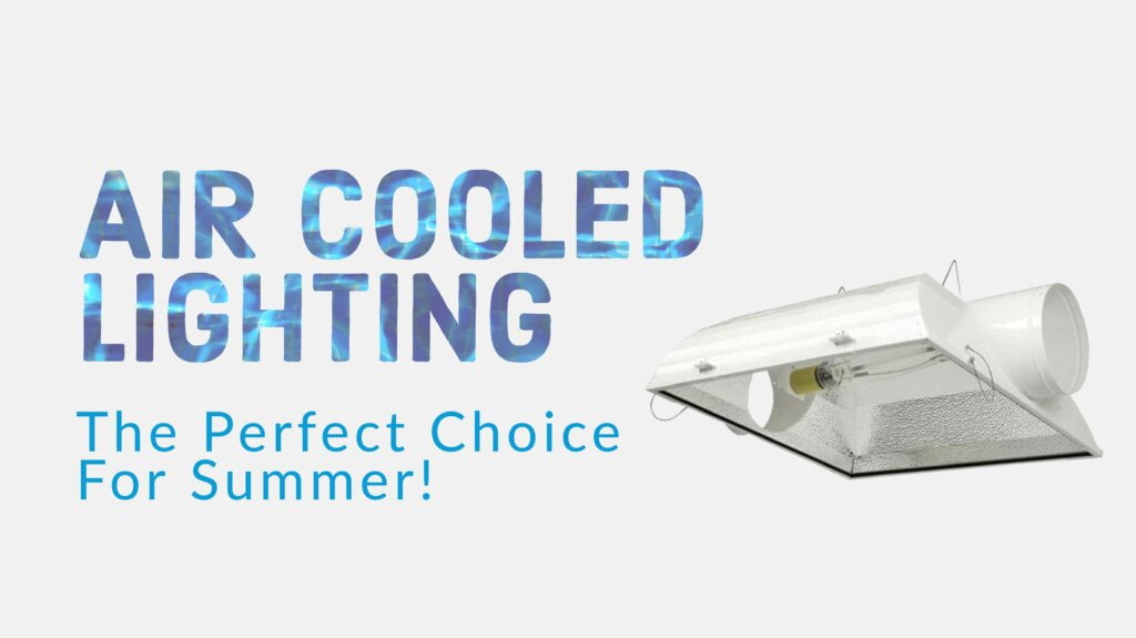 Air Cooled Lighting
