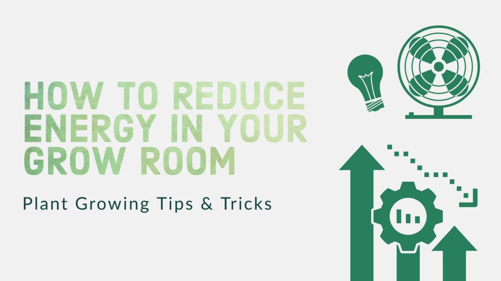 How To Reduce Energy In Your Grow Room