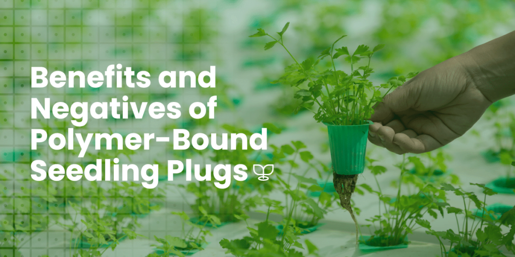 Benefits and Negatives Of Polymer Bound Seedling Plugs