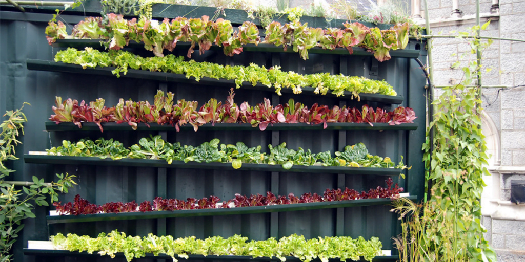 Vertical Farming