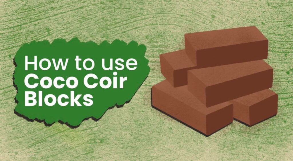 Coco Coir Blocks