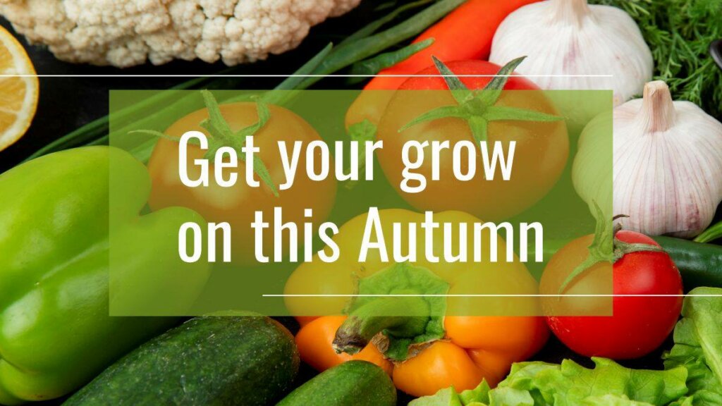 Get your grow on