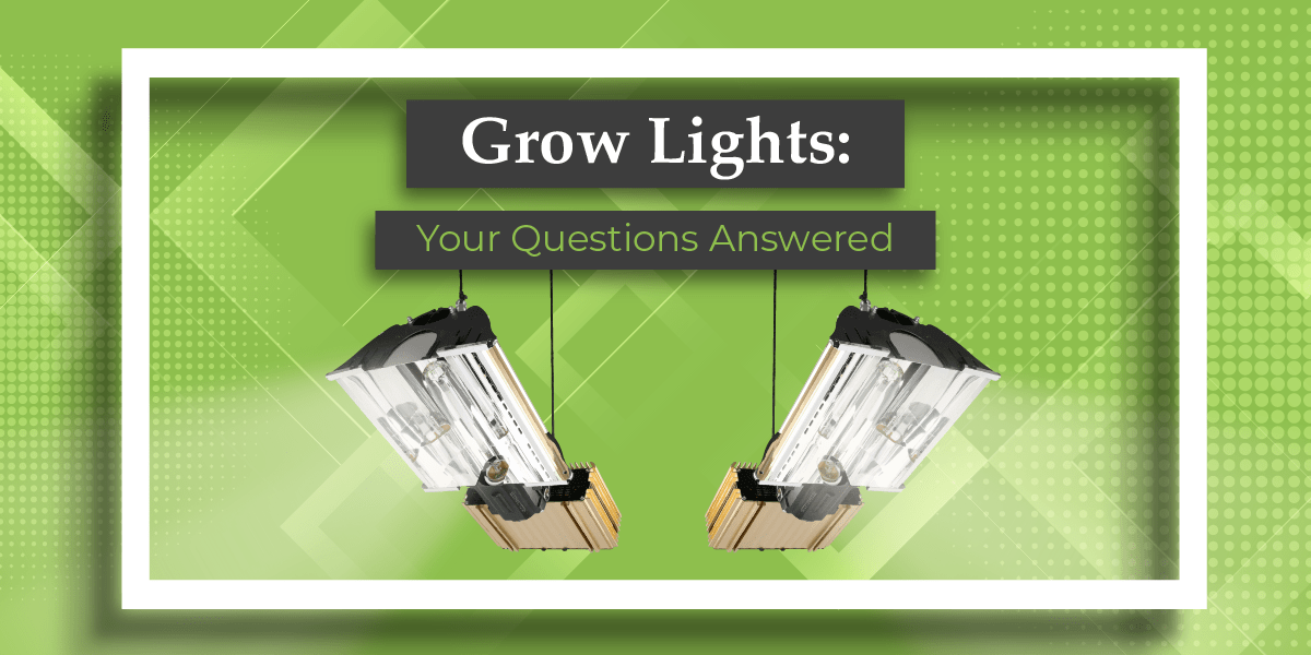 Grow Lights FAQs