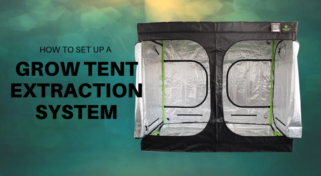 Extraction System Grow Tent Set Up