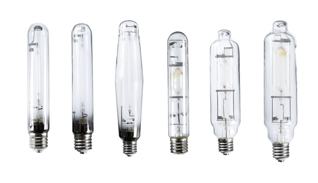 Grow Light Bulbs