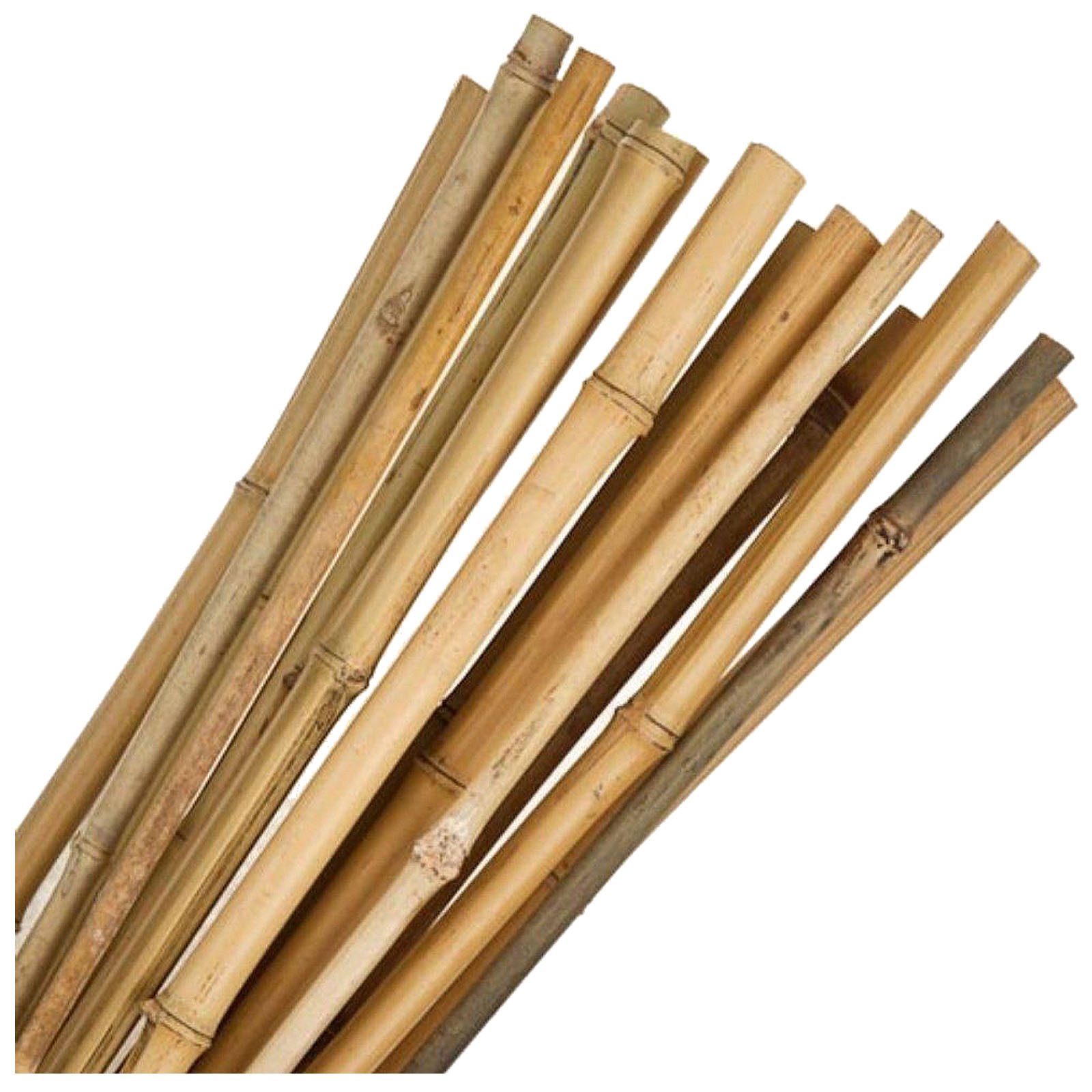 Wooden Bamboo Cane - Gardeners Corner