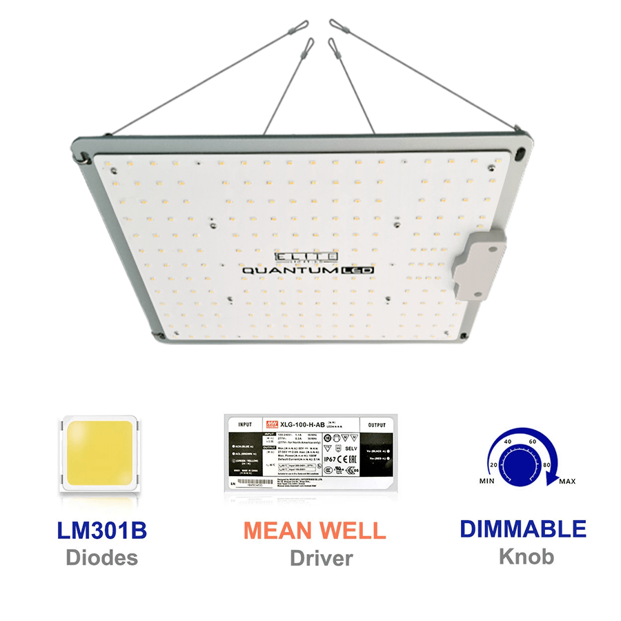 Quantum leap led panel sales lamp magic lights