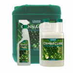 Canna Cure