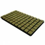 Large Rockwool Cubes Tray of 77