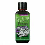 Hanging Basket Focus