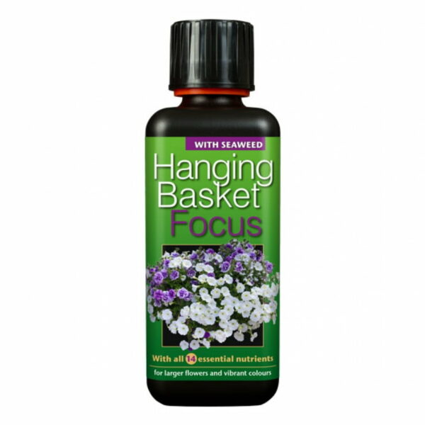 Hanging Basket Focus
