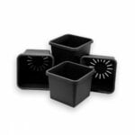 8.5 Litre Square Pots - Black/Green