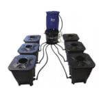 IWS Deep Water Culture System