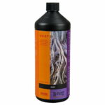 Atami B'Cuzz Root Stimulator