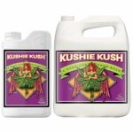 Advanced Nutrients Kushie Kush