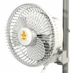 SECRET JARDIN 6" MONKEY FAN 16w