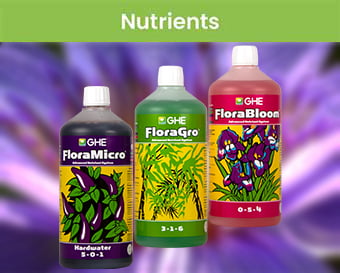 plant food