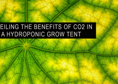 GROW TENT GARDENING HELP