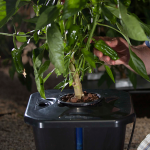 Small Hydroponic Grow Tent Kit 60x60x140cm - Image 3